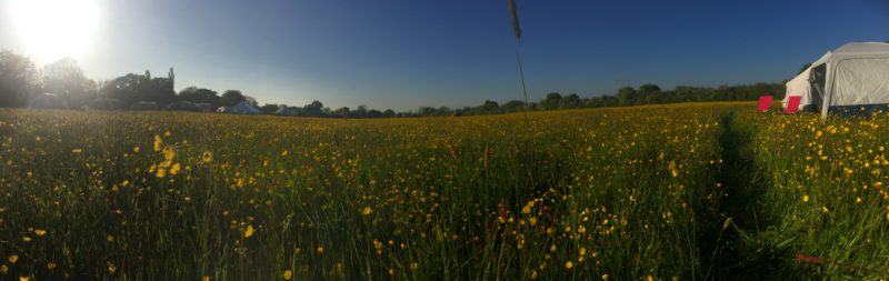 Panorama pic of a buttercup field, with a few tents on one side, and two pink deck-chairs outside a bell tent on the other. The sun shines down brightly from one side of the blue sky.