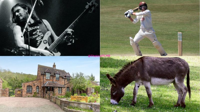 Collage of 4 images: Lemmy; Rory Burns; A house called The Tumbling Sailor; a donkey